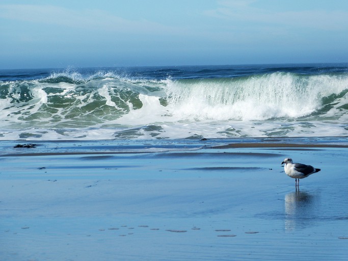 Cottages (Dillon Beach, California, United States)