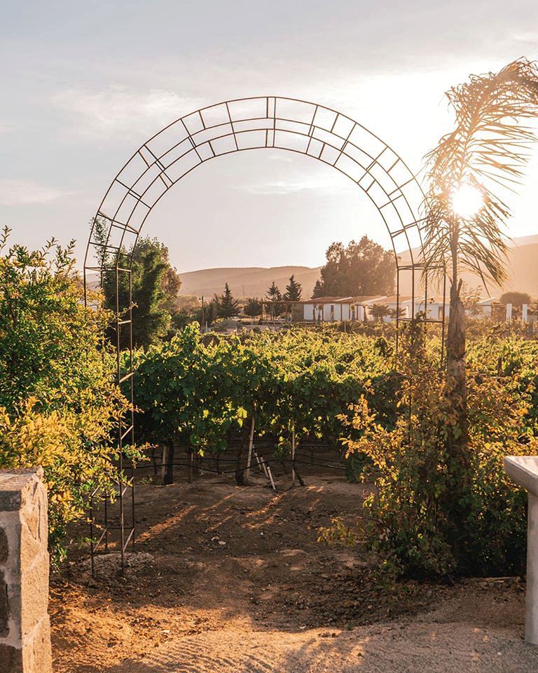 Unique Guadalupe Valley Rental for a Vacation in Mexico