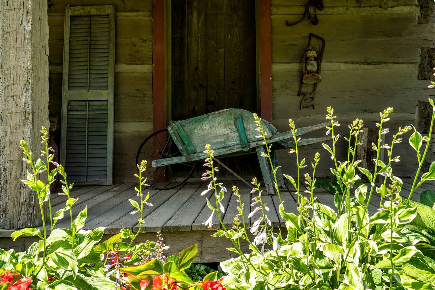 Enchanting Vacation Rental on Working Alpaca Farm near Kokomo, Indiana