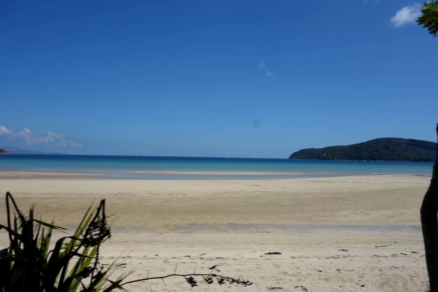 Clifftop Great Barrier Island Accommodation for a Secluded Getaway