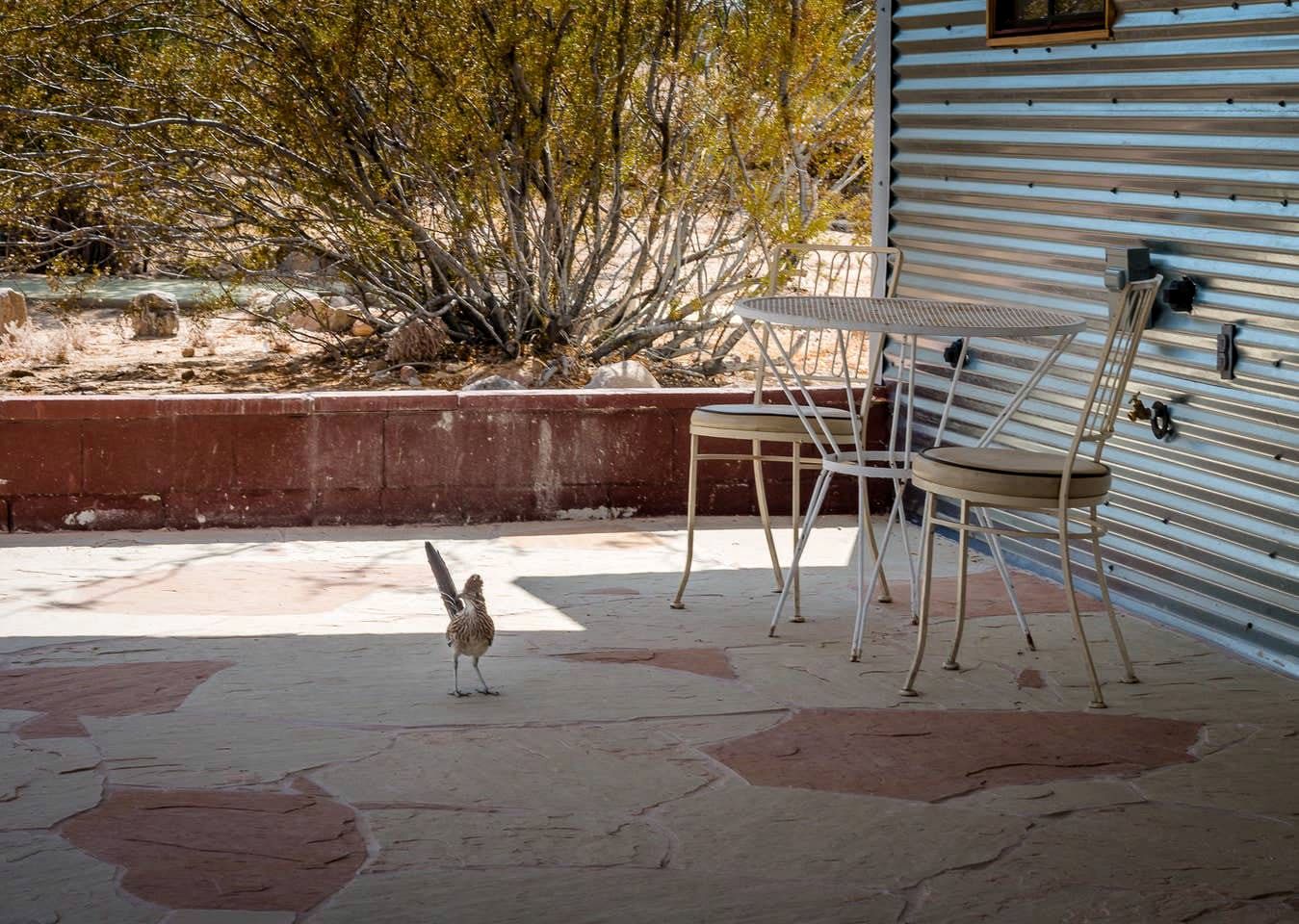 Secluded Twentynine Palms Accommodation for Glamping in California