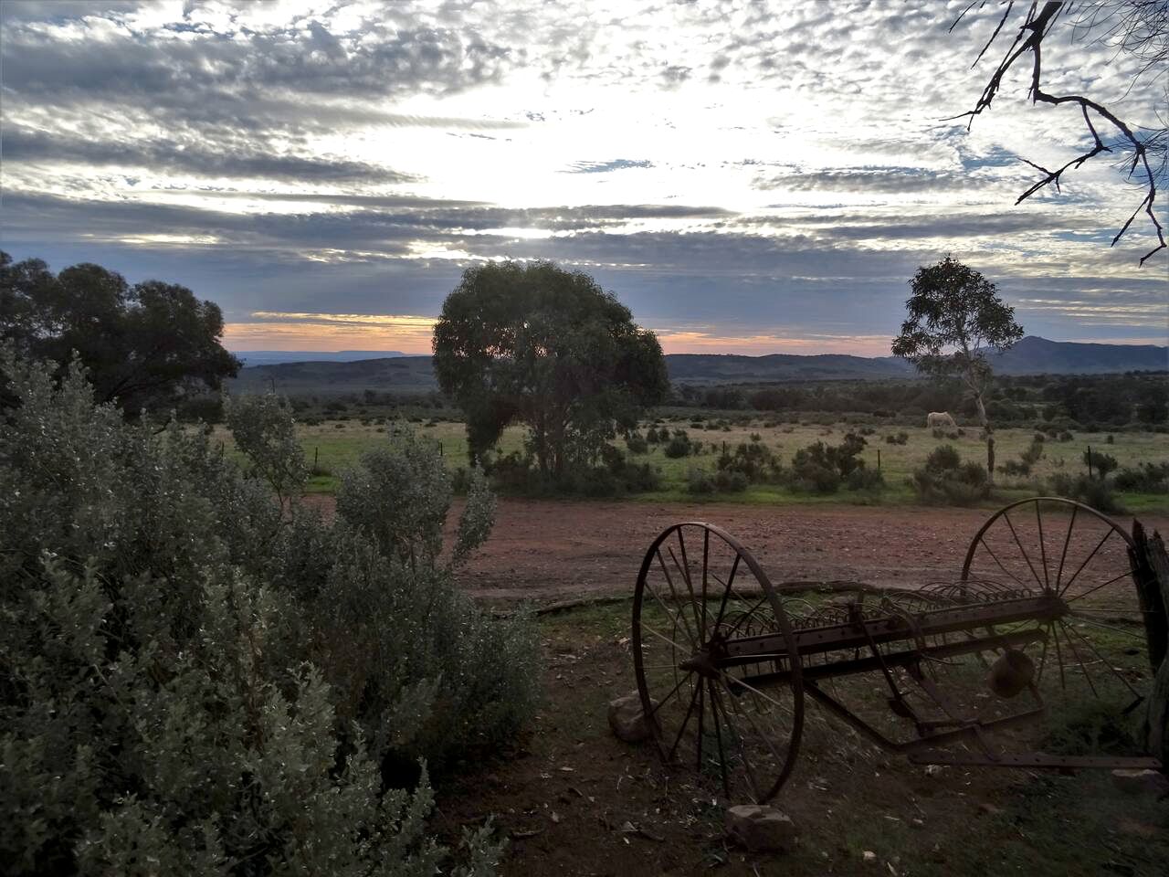 Off-Grid Glamping Van in a Beautiful Gum Creek for a Unique Outdoor Experience in Woolundunga, South Australia