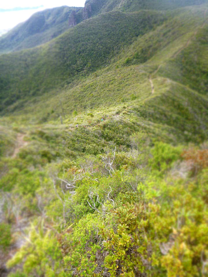 Clifftop Great Barrier Island Accommodation for a Secluded Getaway