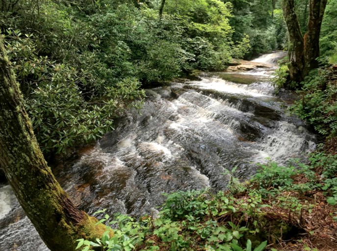 Nature Lodges (Sapphire, North Carolina, United States)