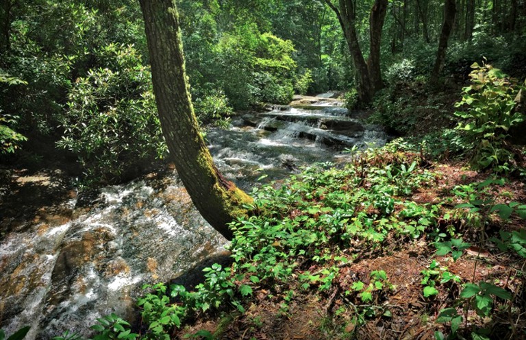 Nature Lodges (Sapphire, North Carolina, United States)