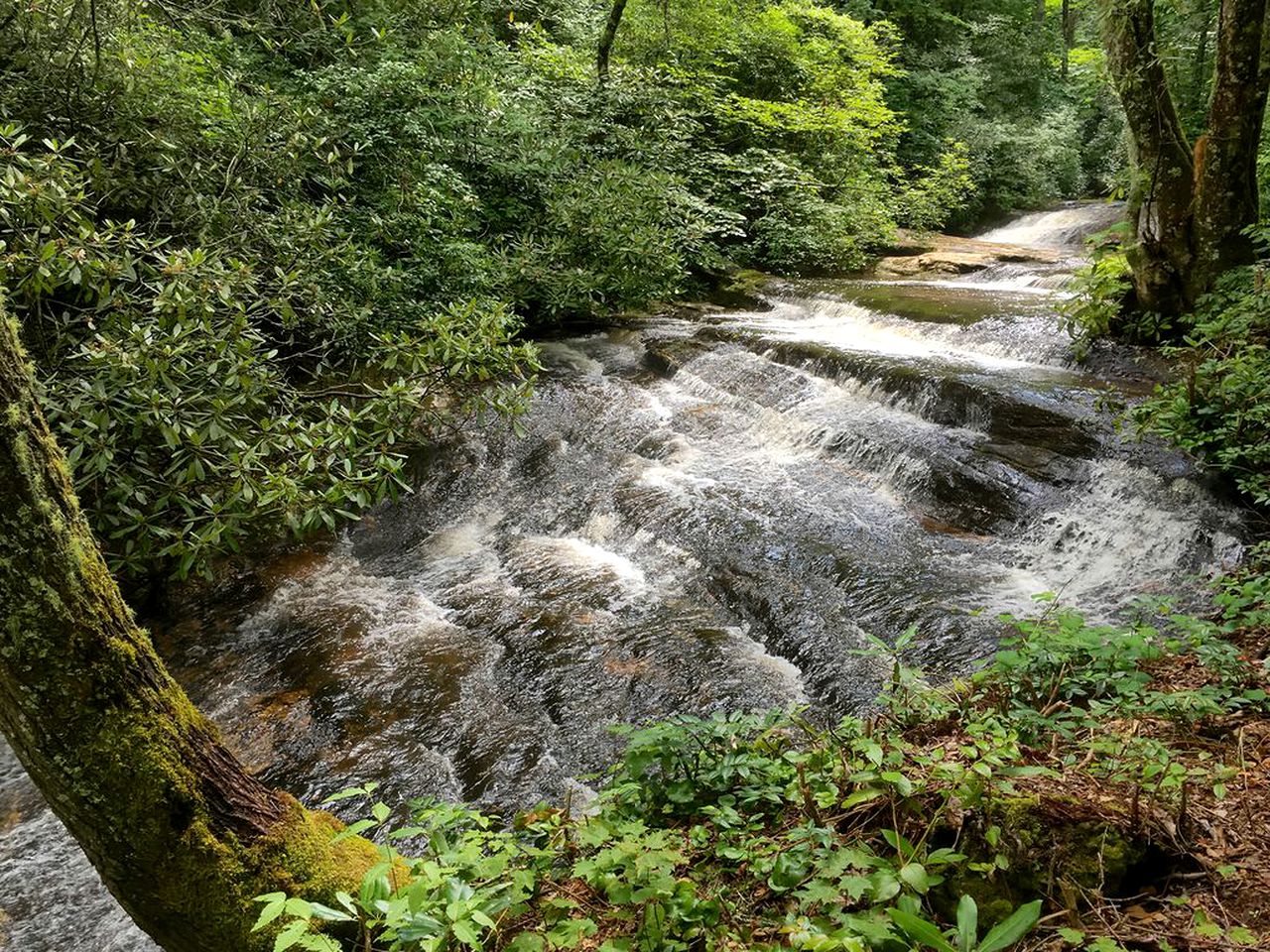 Stunning Cabin Surrounded by Waterfalls near Sapphire, North Carolina