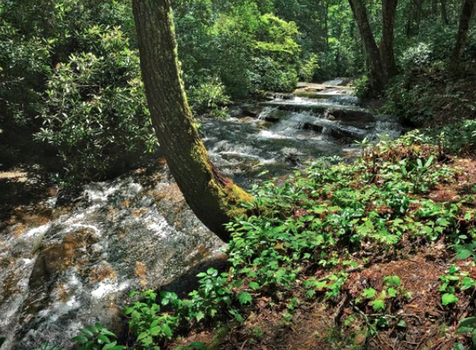 Cabins (Sapphire, North Carolina, United States)