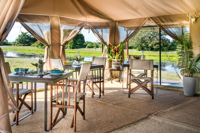 Safari Tents (San Luís de Palenque, Casanare, Colombia)