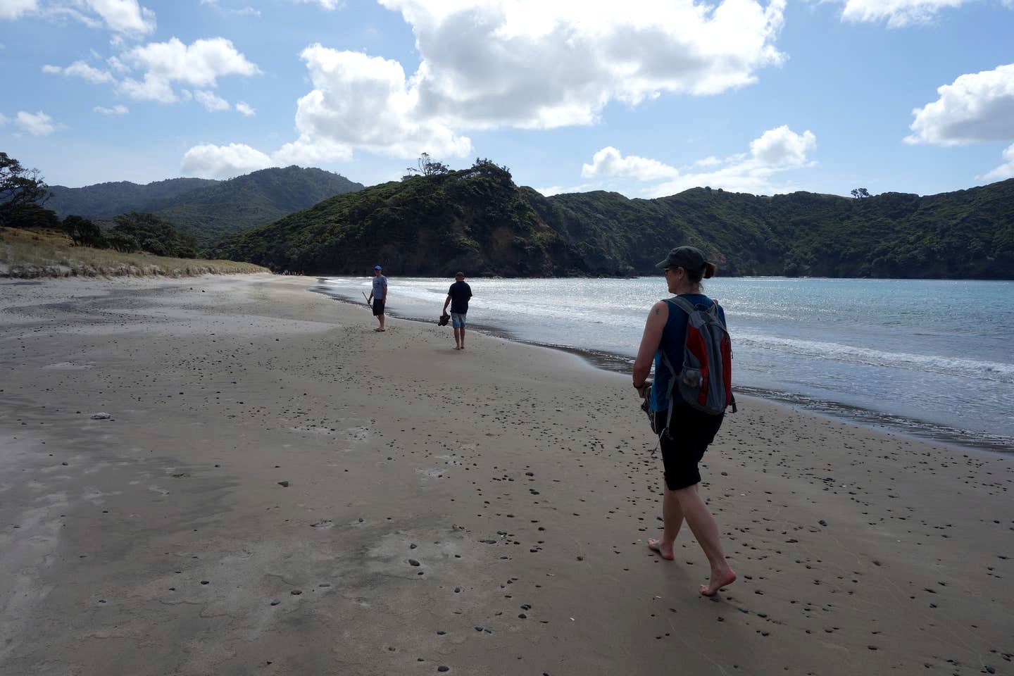 Clifftop Great Barrier Island Accommodation for a Secluded Getaway
