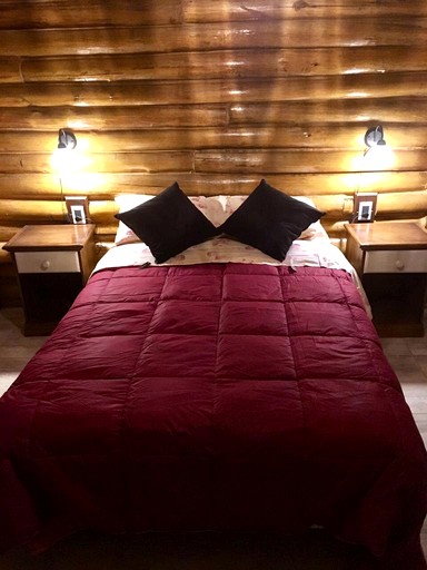 CABAÑA LA EMILIA USPALLATA MDZ | Log Cabins (Uspallata, Mendoza, Argentina)