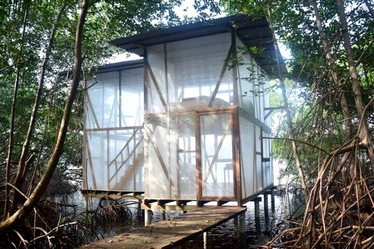 Tree Houses (San Cristóbal Island, Bocas del Toro, Panama)