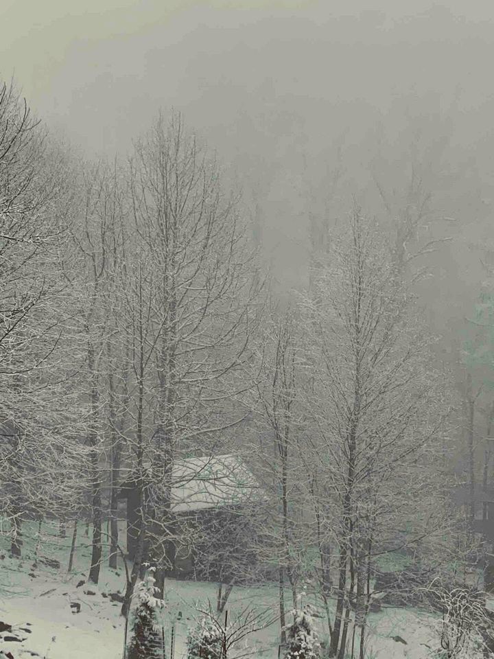 Off Grid Tiny Cabin Ideal for Couples in Burnsville, North Carolina