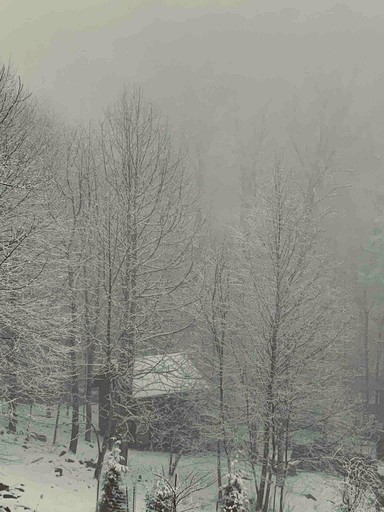 Off Grid Tiny Cabin Ideal for Couples in Burnsville, North Caroline | Cabins (Burnsville, North Carolina, United States of America)