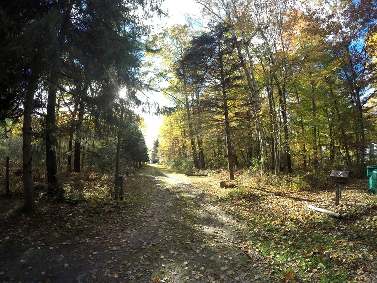 Secluded Lake Cottage Rental with a Dock and a Game Room in Hale, Michigan