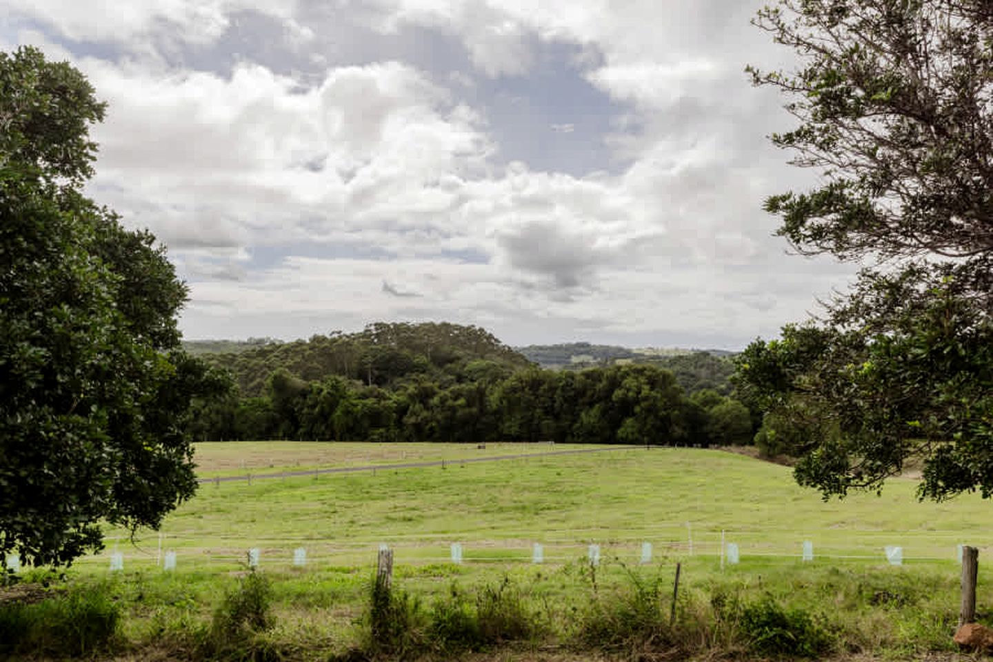 Secluded Tiny House Stay on Macadamia Plantation near Byron Bay, NSW