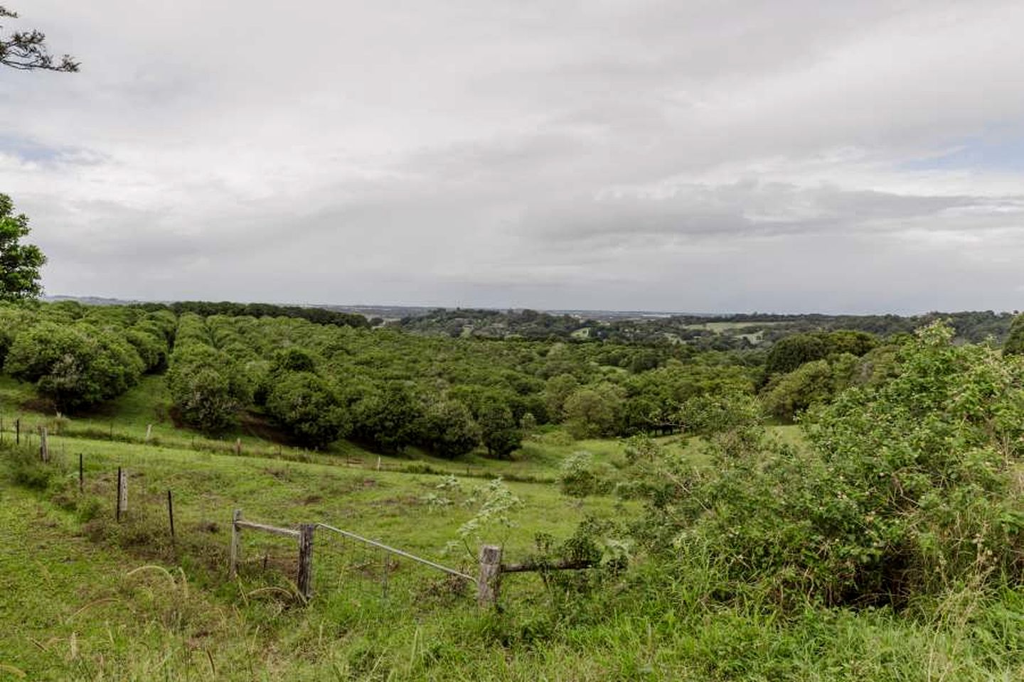 Secluded Tiny House on Macadamia Plantation Near Byron Bay, Cumbalum NSW