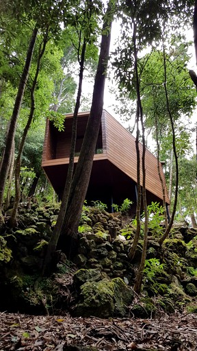 Tree Houses (Praia da Vitória, Azores, Portugal)