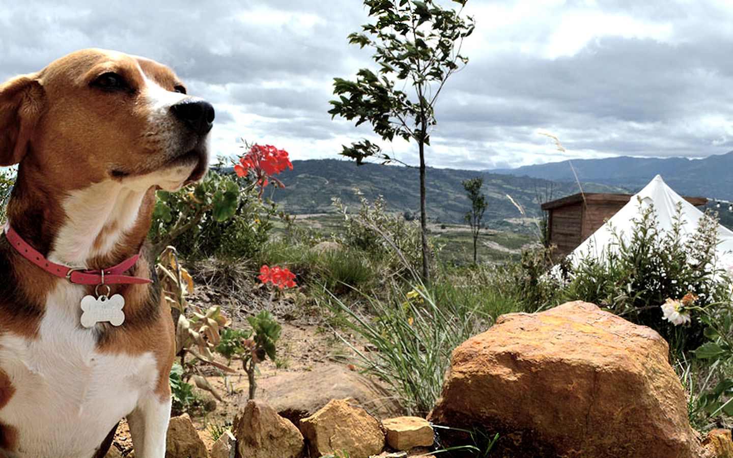 Unique Villa de Leyva Accommodation Ideal for Glamping in Colombia