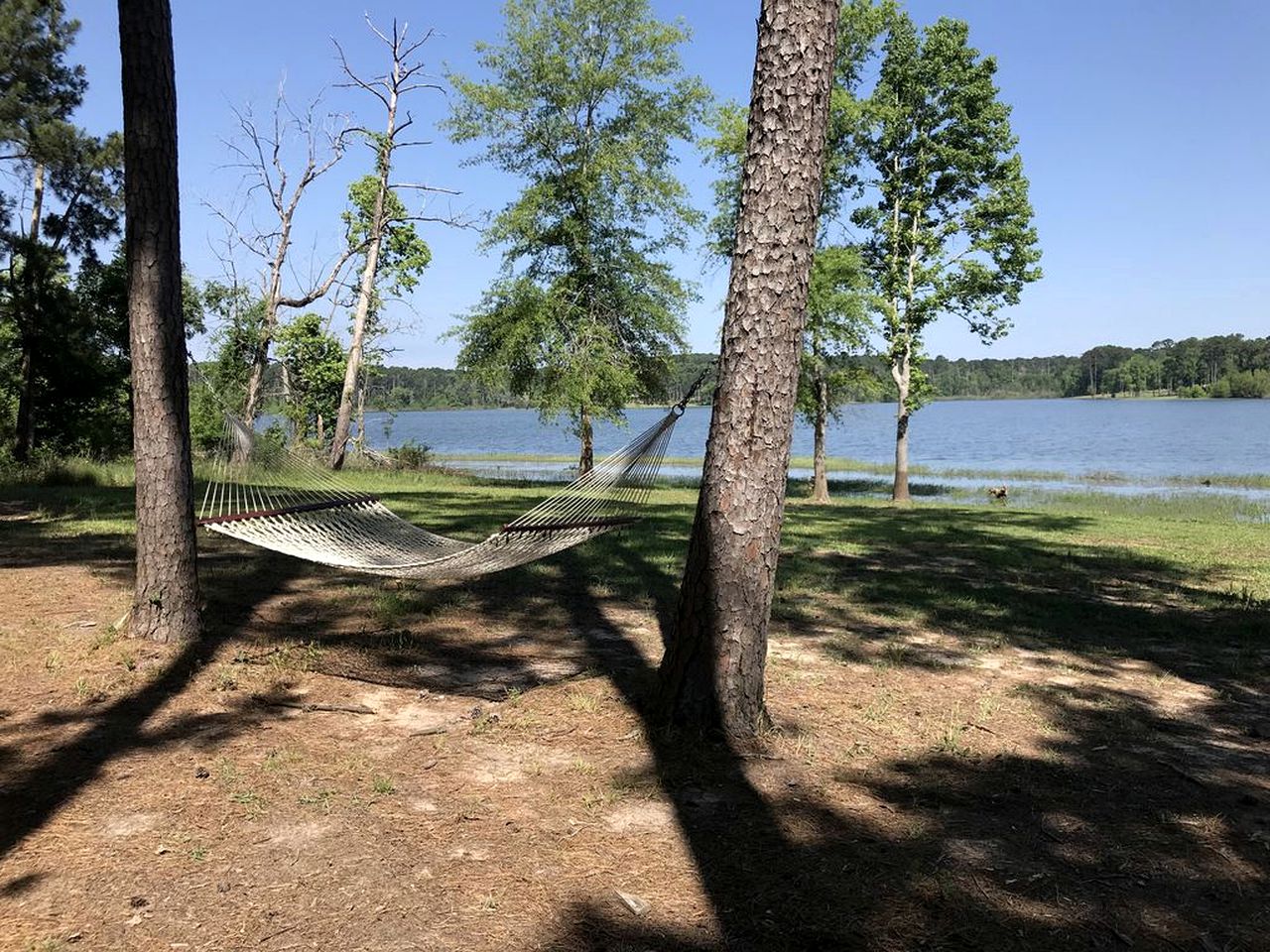 Rustic 18-Person Cabin Rental on Lake Sam Rayburn for Staycation near Houston