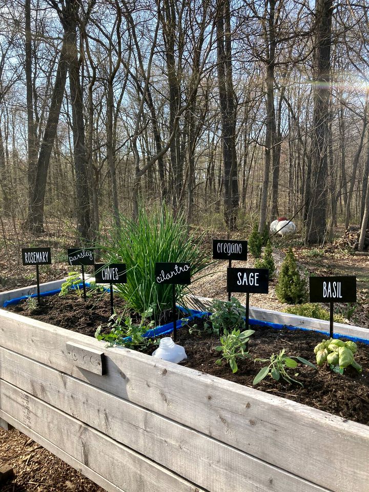 Cozy Bungalow Rental Perfect for Glamping in Michigan