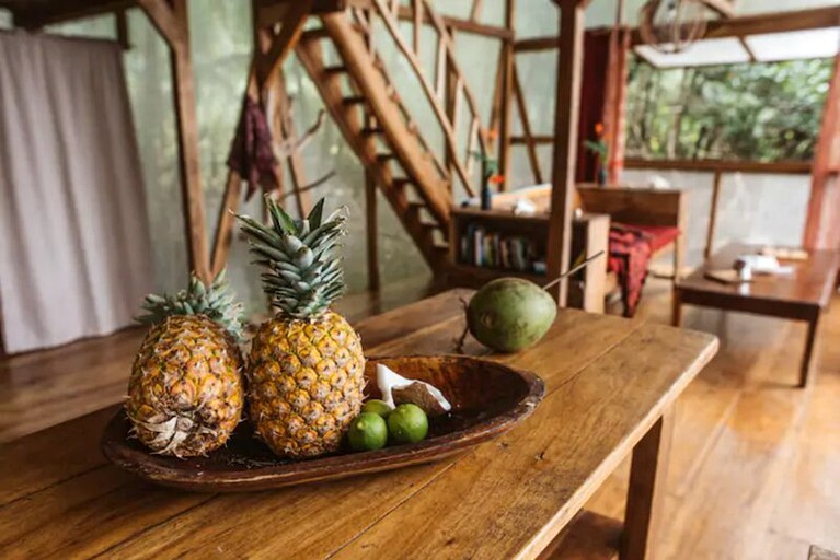 Tree Houses (San Cristóbal Island, Bocas del Toro, Panama)