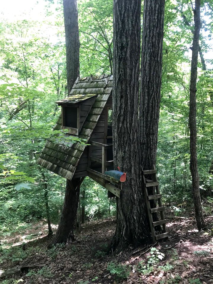 Secluded Getaway Spot in a Quiet Forest for Camping near Charlottesville, VA