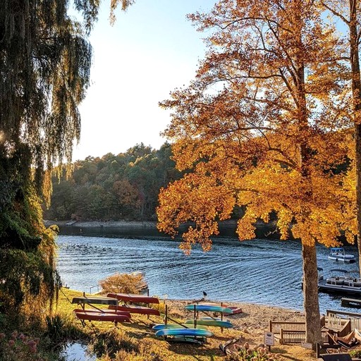 The Sky Breeze Cabin | Cabins (Nantahala, North Carolina, United States of America)