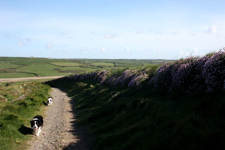 Luxury Bell Tent for Hire in Helston on the Idyllic Coast of Cornwall, England | Bell Tents (Helston, England, United Kingdom)