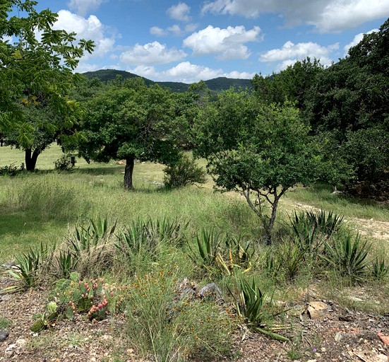 Cottages (Pipe Creek, Texas, United States)