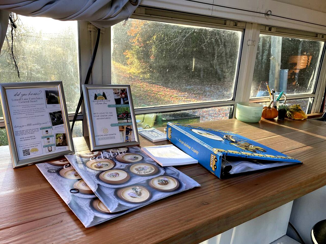 Eccentric Converted Bus, Perfect for a Tennessee Vacation