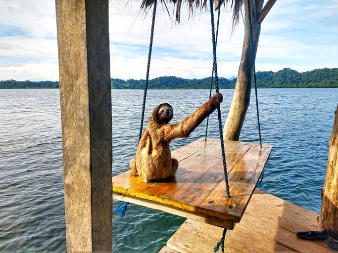 Cabins (San Cristóbal Island, Bocas del Toro, Panama)