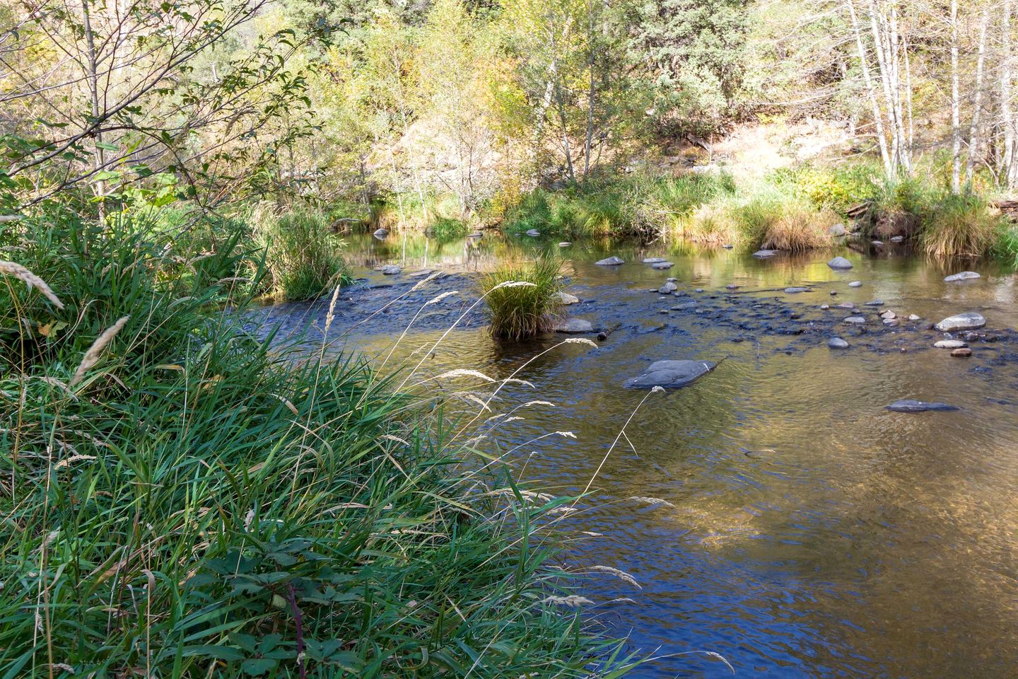 Pet-Friendly Cabin with Beautiful Waterfall Views in Sedona, Arizona