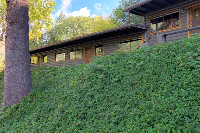 Pet-Friendly Cabin with Beautiful Waterfall Views in Sedona, Arizona