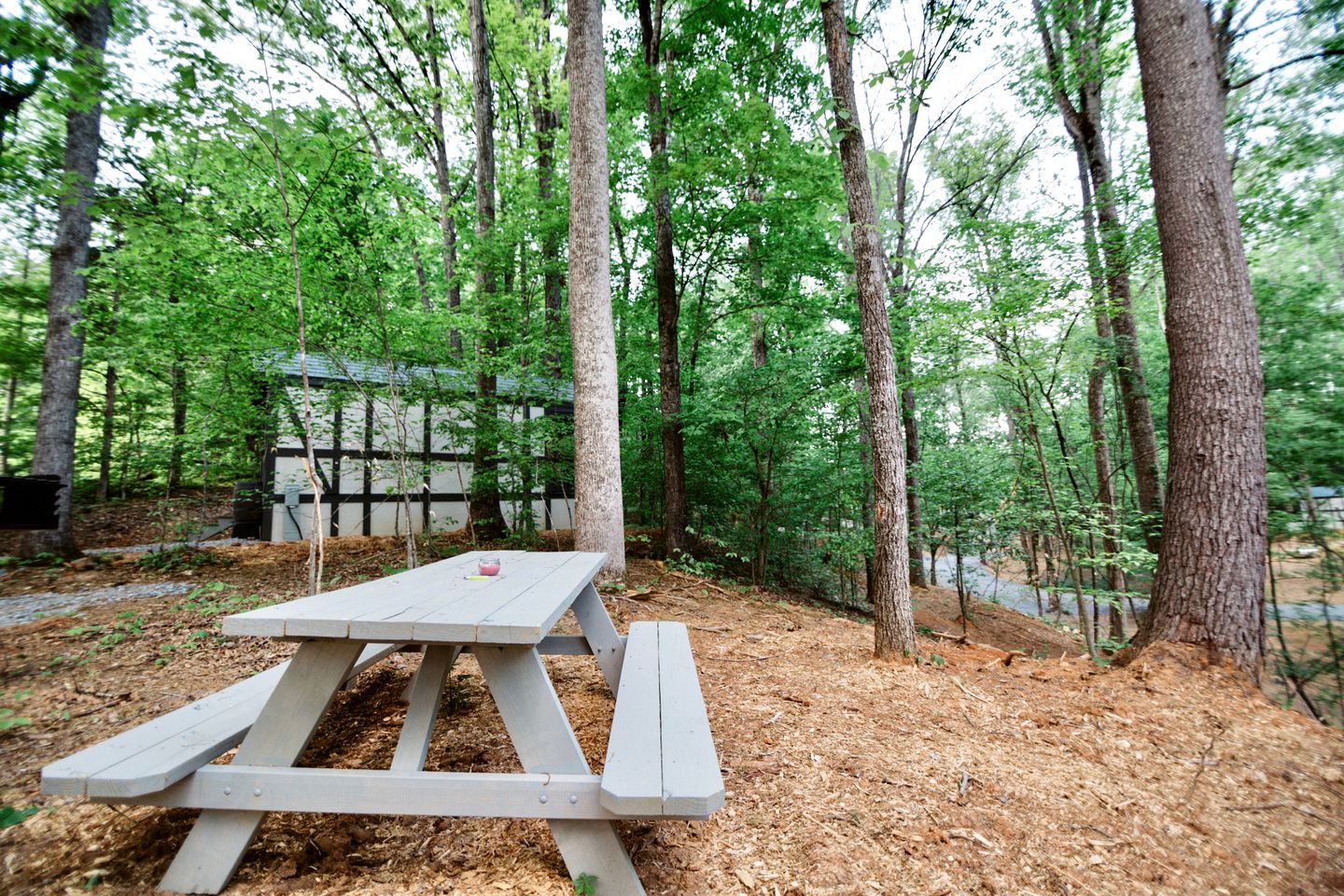 Tiny Home Cottage Near the Smokies #9 Frieda, Sevierville, TN