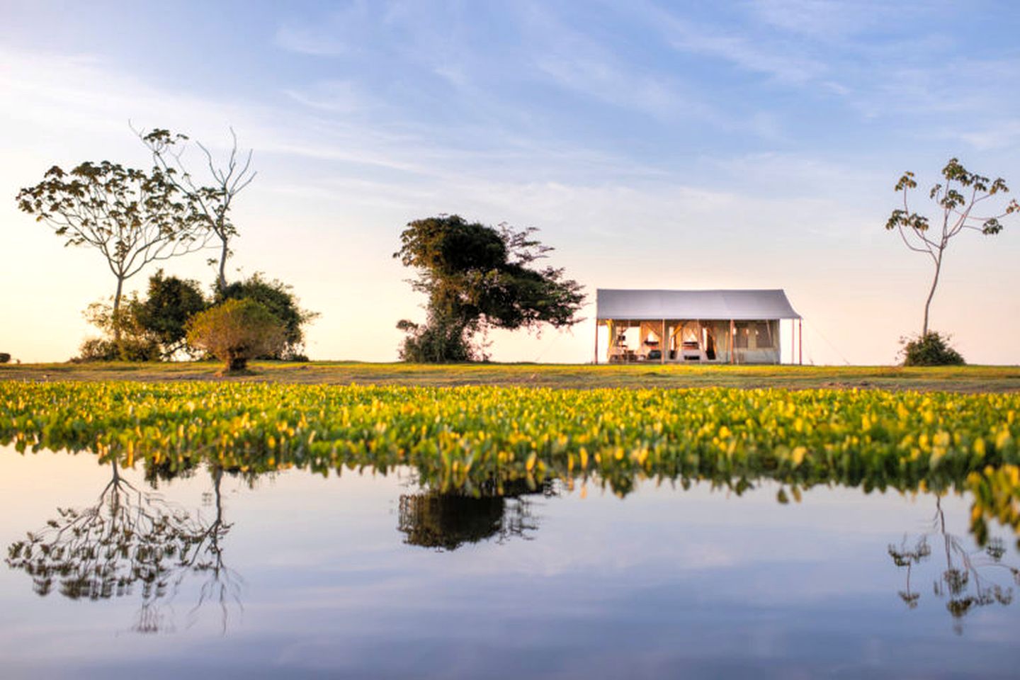 Spectacular Safari Tents for an Unforgettable Experience Luxury Camping in Colombia