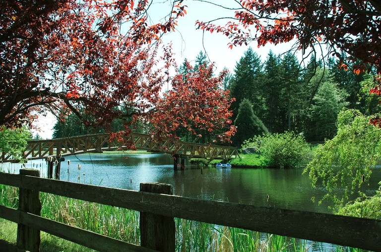 Spacious Bed and Breakfast Suite on Horse Farm for Unique Getaway in Oak Harbor, Washington | Cabins (Oak Harbor, Washington, United States of America