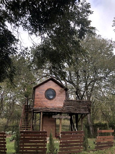 Tree Houses (Willis, Texas, United States of America)