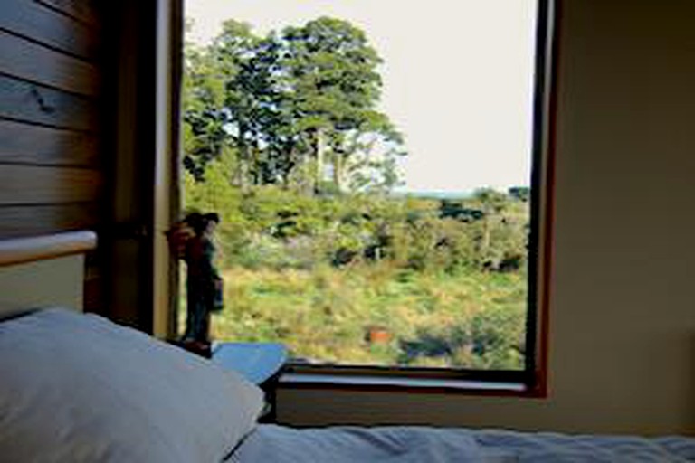 Cozy and Secluded Suite Close to the Tasman Sea in Kakapotahi, New Zealand | Nature Lodges (Ross, South Island, New Zealand)