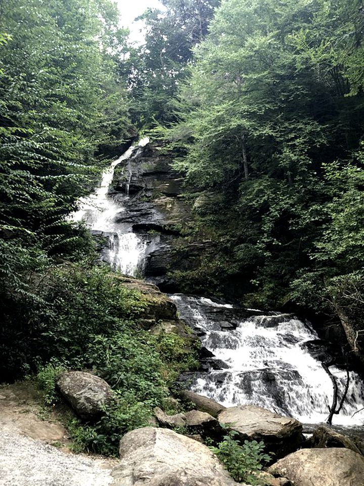 Rustic Tree Top Cabin in Sky Valley, Georgia