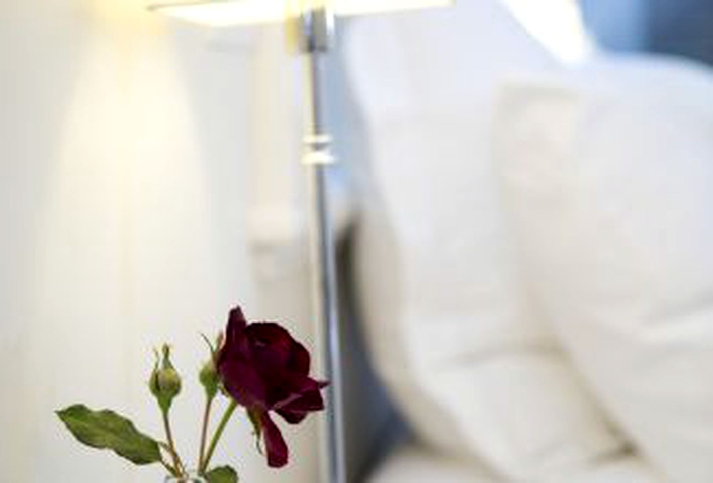 Bright and Modern Honeymoon Rental in Whitianga, New Zealand