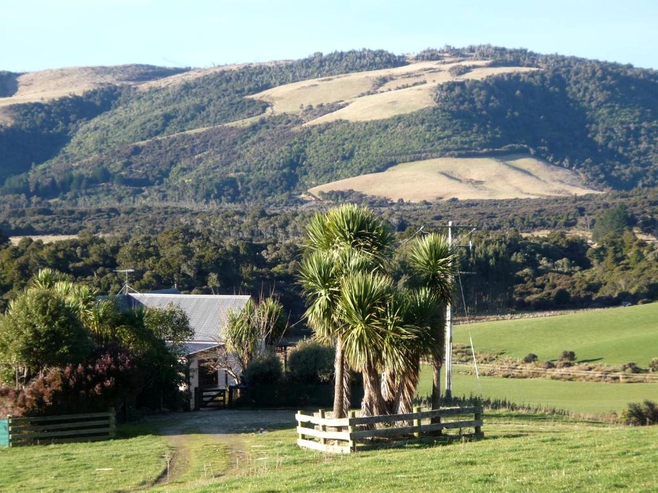 Coastal Vacation Rental Nestled near the Otago Peninsula in South Island