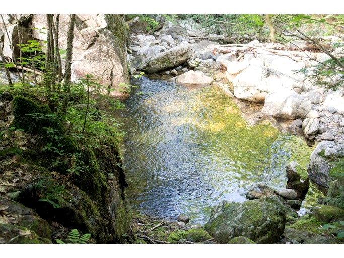 Authentic Tipi Set in the Stunning Woodland of the White Mountain National Forest, New Hampshire | Tipis (Chatham, New Hampshire, United States of Ame