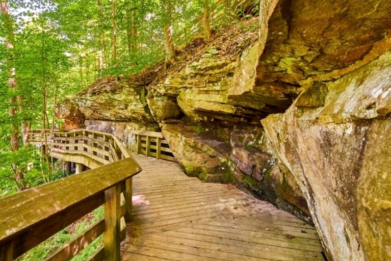 Cozy Secluded Safari Tent Immersed in Nature in Ravenna, Ohio | Safari Tents (Ravenna, Ohio, United States of America)