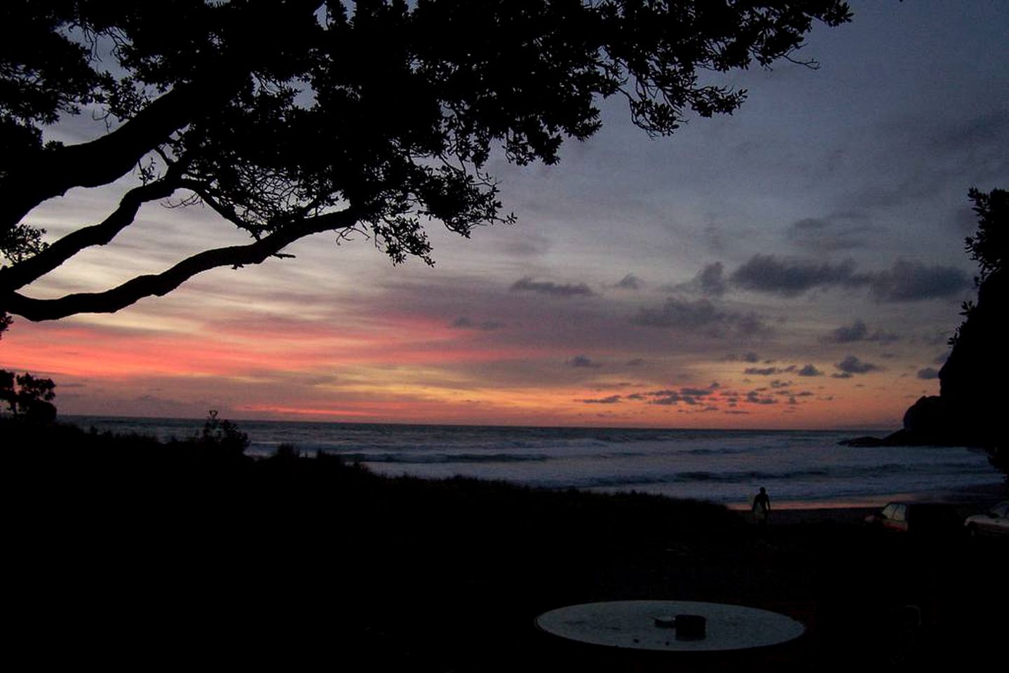 Beachfront Cottage Rental with Picturesque Ocean Views in Piha, North Island