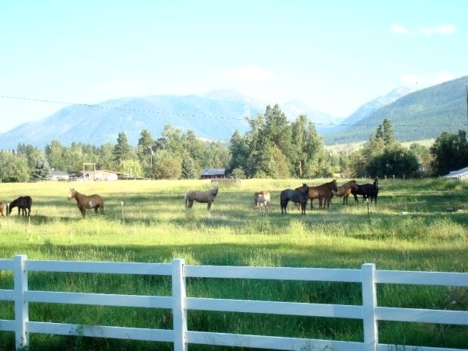 Cottages (Joseph, Oregon, United States)