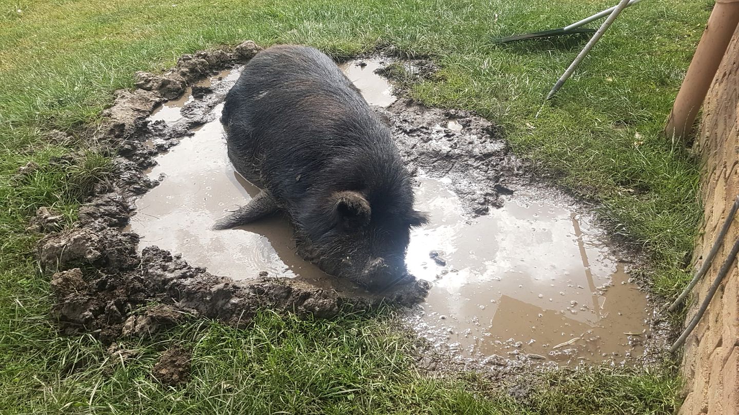Yarra Valley Accommodation Ideal for Victoria Glamping
