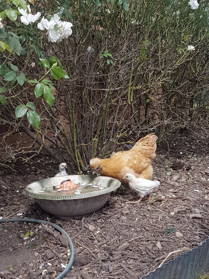 Yarra Valley Accommodation Ideal for Victoria Glamping