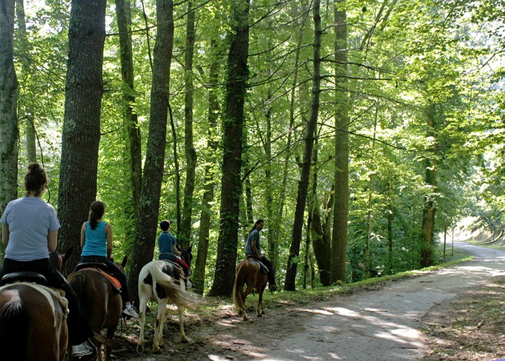 Cabins (Bryson City, North Carolina, United States)