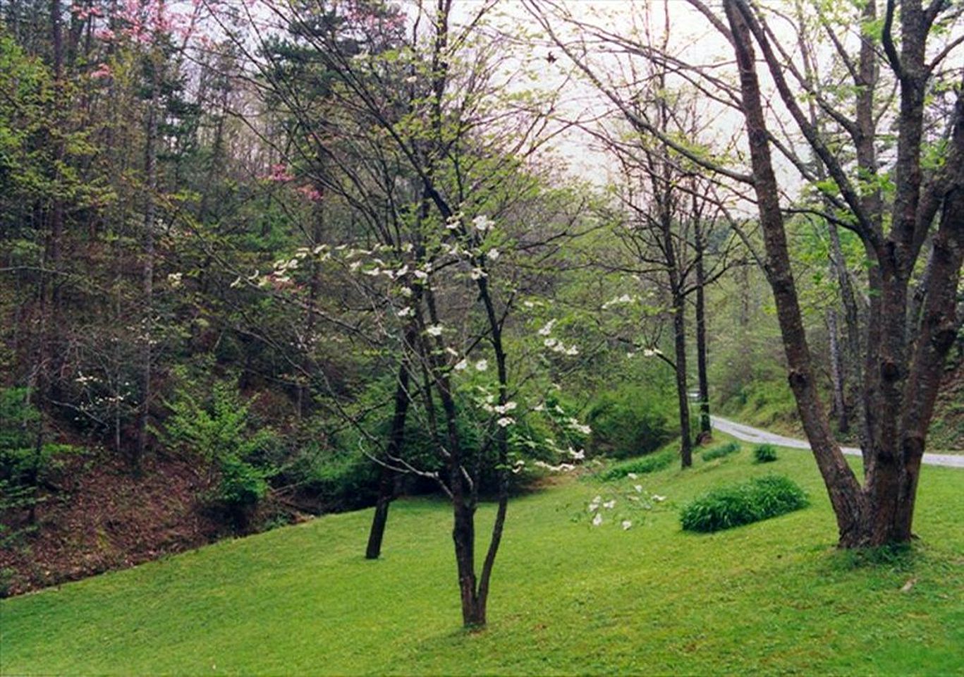 Riverside Cabin Rental Amid the Appalachian Mountains in North Carolina