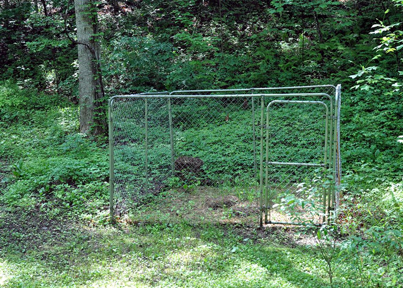 Riverside Cabin Rental Amid the Appalachian Mountains in North Carolina